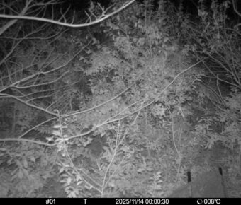 Nov 14 2025  0:00:30, #01