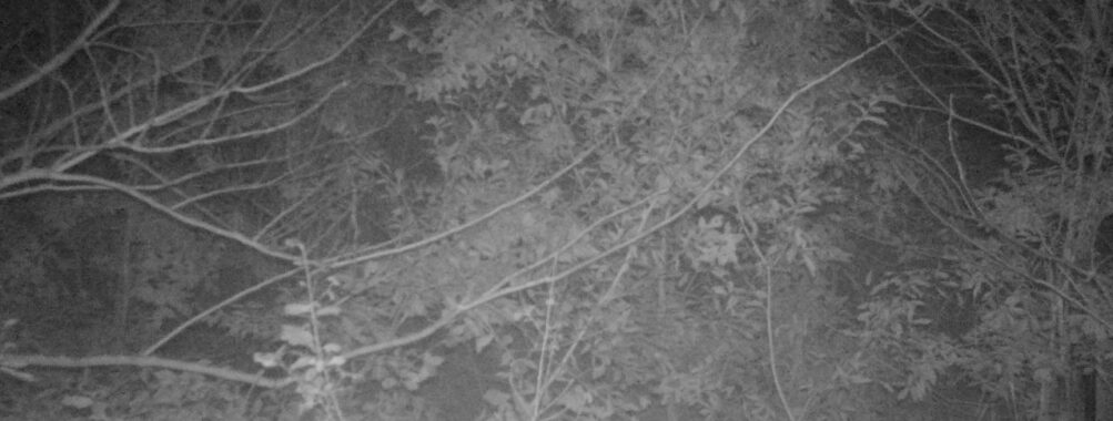 Nov 14 2025  3:00:31, #01