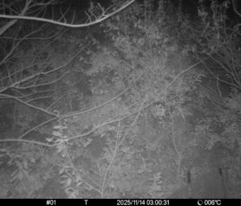 Nov 14 2025  3:00:31, #01