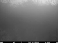 Nov 14 2025  6:00:31, #01