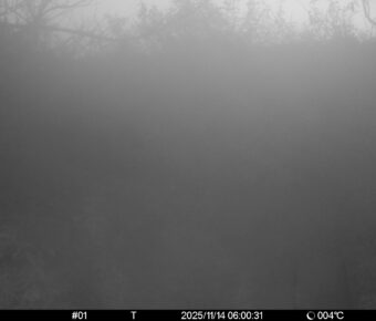 Nov 14 2025  6:00:31, #01