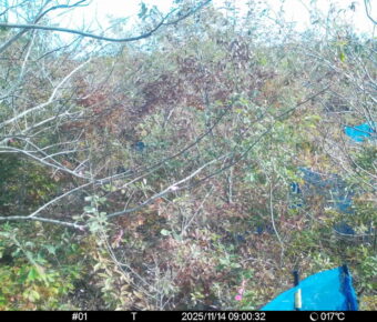 Nov 14 2025  9:00:32, #01