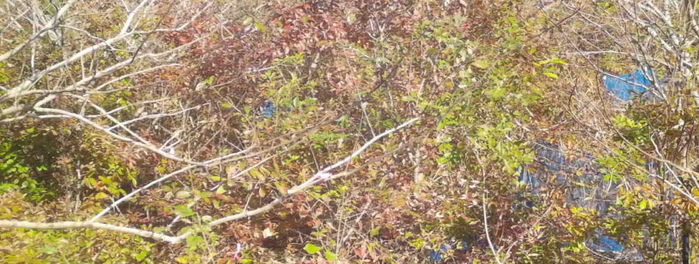 Nov 14 2025 12:00:32, #01