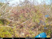 Nov 14 2025 12:00:32, #01