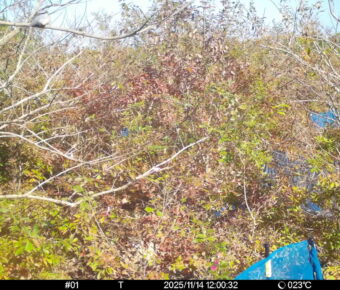 Nov 14 2025 12:00:32, #01