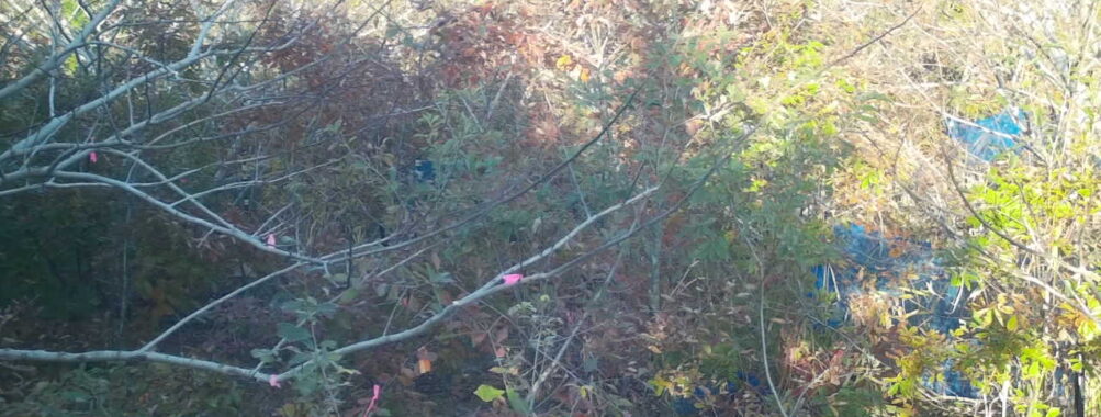 Nov 14 2025 15:00:31, #01