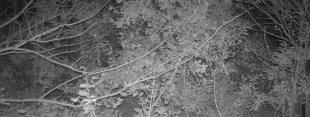 Nov 14 2025 18:00:30, #01