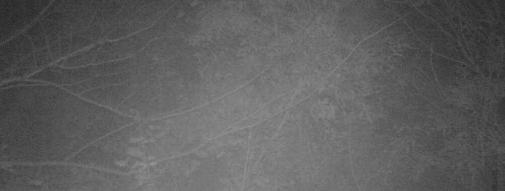 Nov 15 2025  0:00:31, #01