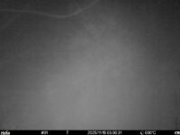 Nov 15 2025  3:00:30, #01