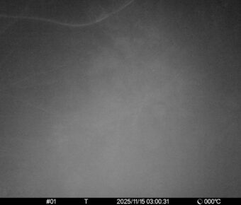 Nov 15 2025  3:00:30, #01