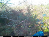 Nov 15 2025 15:00:32, #01