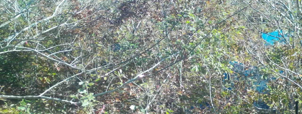 Nov 16 2025  9:00:32, #01