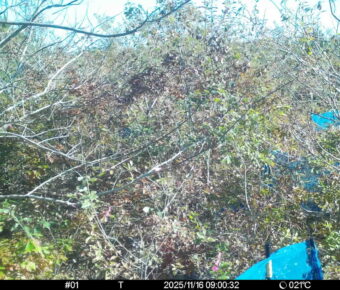 Nov 16 2025  9:00:32, #01