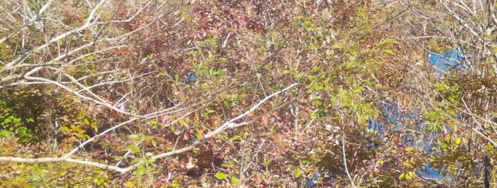 Nov 16 2025 12:00:31, #01