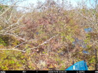 Nov 16 2025 12:00:31, #01