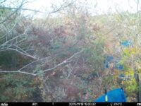 Nov 16 2025 15:00:32, #01