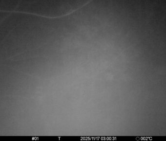 Nov 17 2025  3:00:31, #01