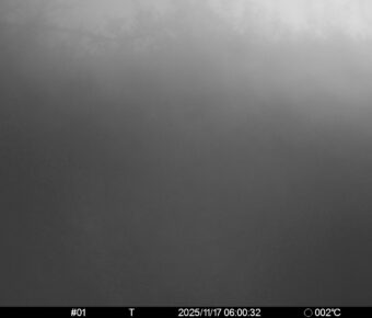 Nov 17 2025  6:00:32, #01