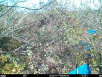 Nov 17 2025  9:00:32, #01