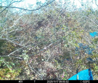 Nov 17 2025  9:00:32, #01