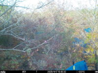 Nov 17 2025 15:00:32, #01