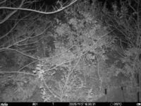 Nov 17 2025 18:00:31, #01