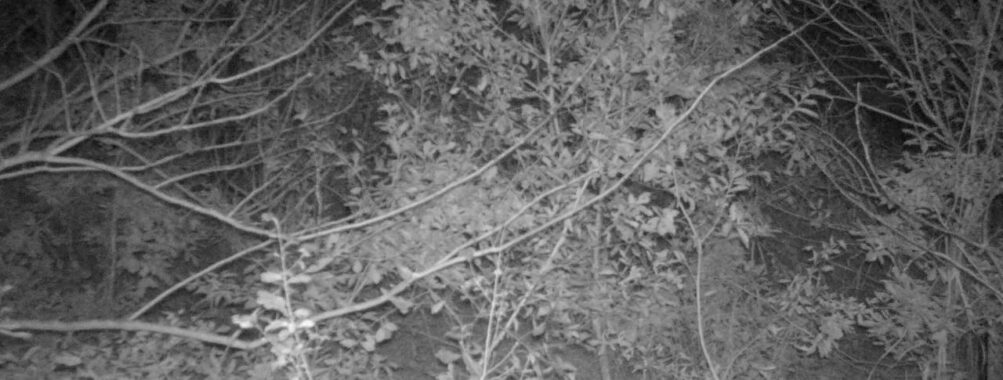 Nov 17 2025 21:00:32, #01