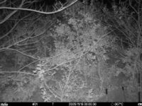 Nov 18 2025  0:00:30, #01