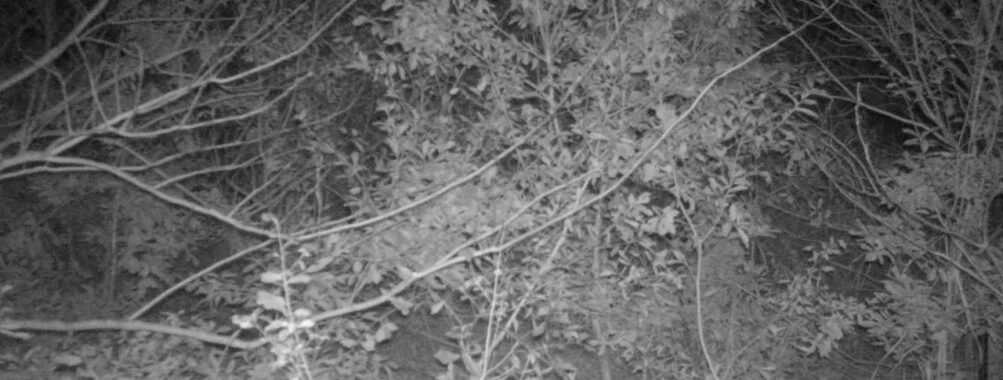 Nov 18 2025  3:00:31, #01