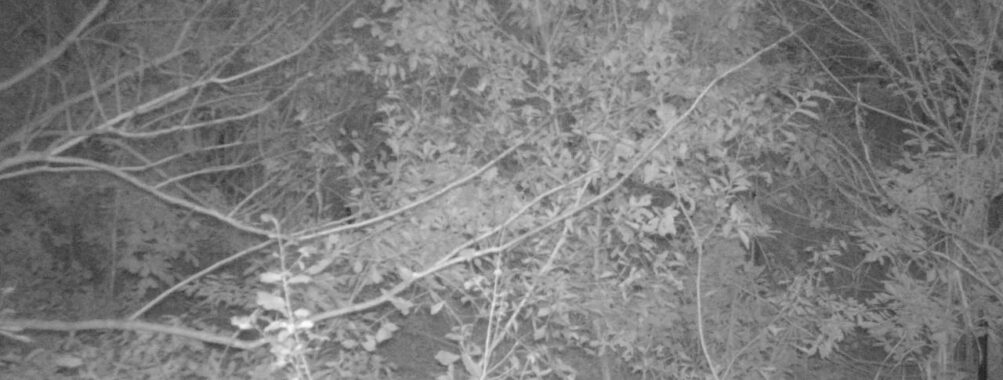 Nov 18 2025  6:00:31, #01