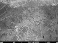 Nov 18 2025  6:00:31, #01