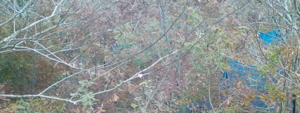 Nov 18 2025  9:00:32, #01