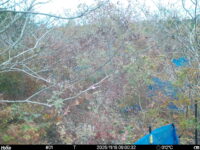 Nov 18 2025  9:00:32, #01