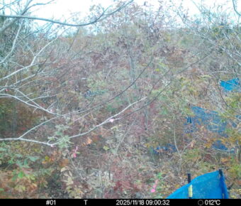 Nov 18 2025  9:00:32, #01