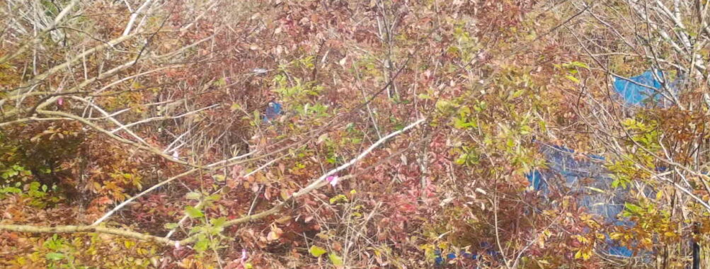 Nov 18 2025 12:00:32, #01