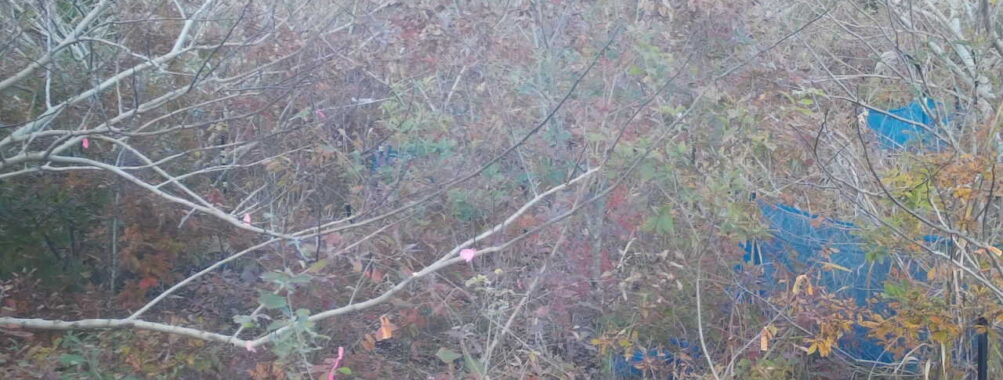 Nov 18 2025 15:00:31, #01