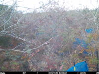 Nov 18 2025 15:00:31, #01