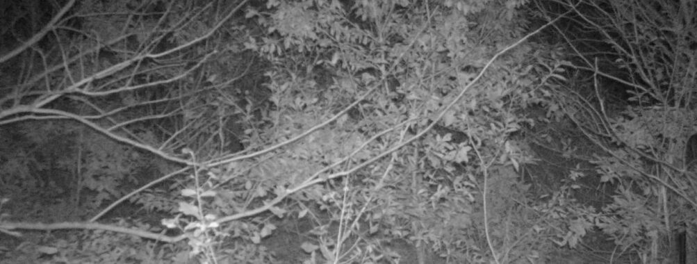 Nov 18 2025 18:00:31, #01