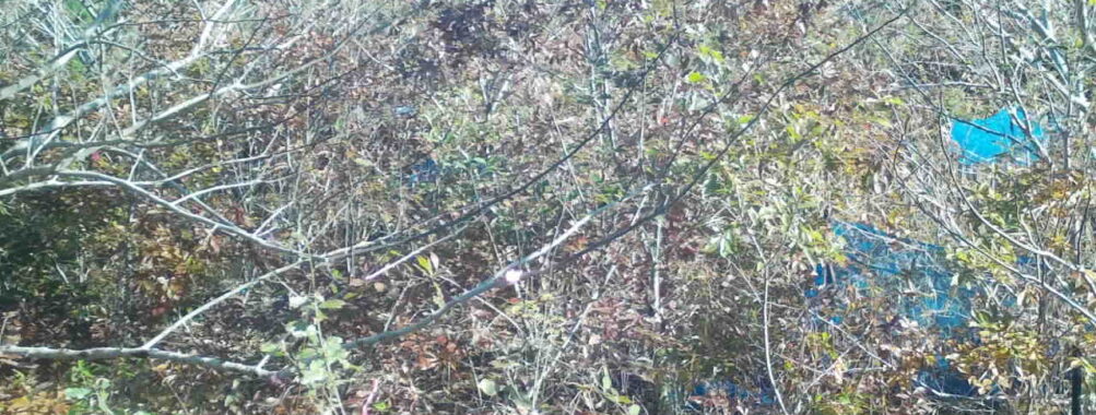 Nov 19 2025  9:00:31, #01