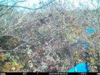 Nov 19 2025  9:00:31, #01