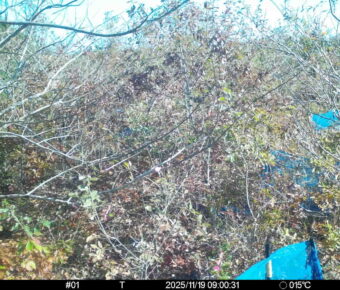 Nov 19 2025  9:00:31, #01