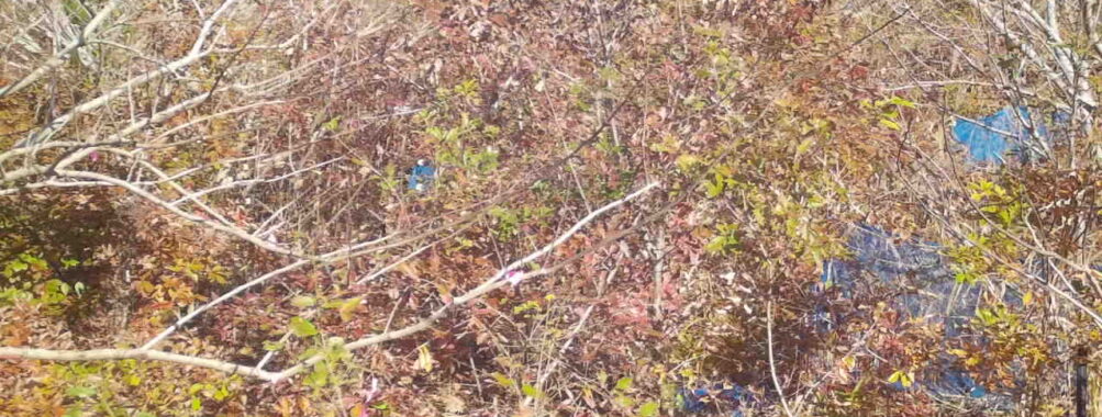 Nov 19 2025 12:00:31, #01