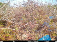 Nov 19 2025 12:00:31, #01