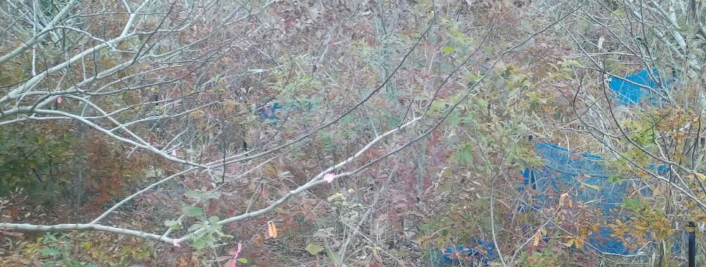 Nov 19 2025 15:00:32, #01