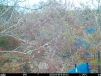 Nov 19 2025 15:00:32, #01