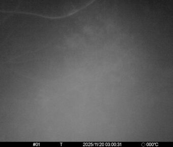 Nov 20 2025  3:00:31, #01