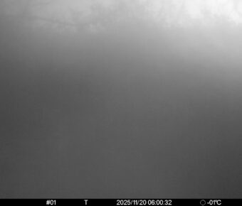 Nov 20 2025  6:00:32, #01