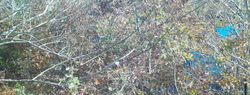 Nov 20 2025  9:00:32, #01