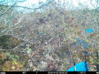 Nov 20 2025  9:00:32, #01