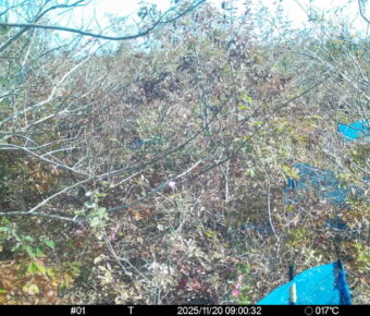 Nov 20 2025  9:00:32, #01